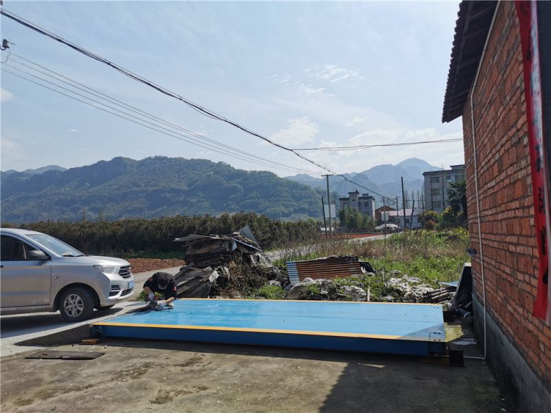 制茶廠(chǎng)地磅使用現(xiàn)場(chǎng)